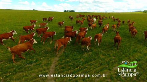 DOS EÓLICOS VIRA P FAZENDA_Moment.00_09_42_14.Quadro278_7f12d613d4b918f3925100b08ddffb5627035712.jpg